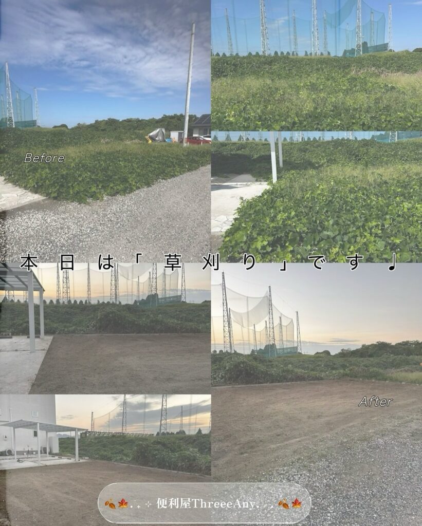 草刈り【便利屋スリーエニー】